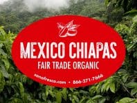 Mexico Chiapas FTO