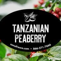 Tanzanian Peaberry