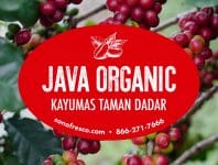 Java Organic Kayumas Taman Dadar