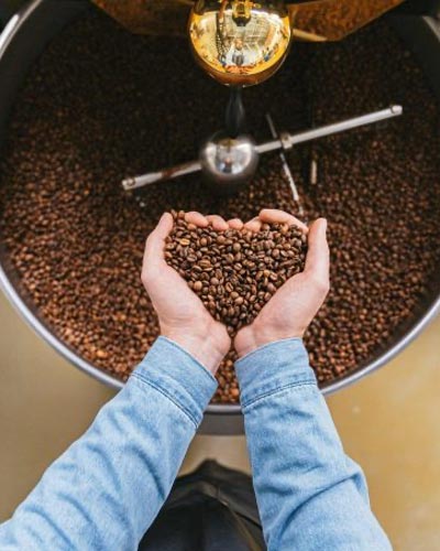 Hands holding freshly roasted coffee beans in a heart shape above a commercial coffee roasting machine.